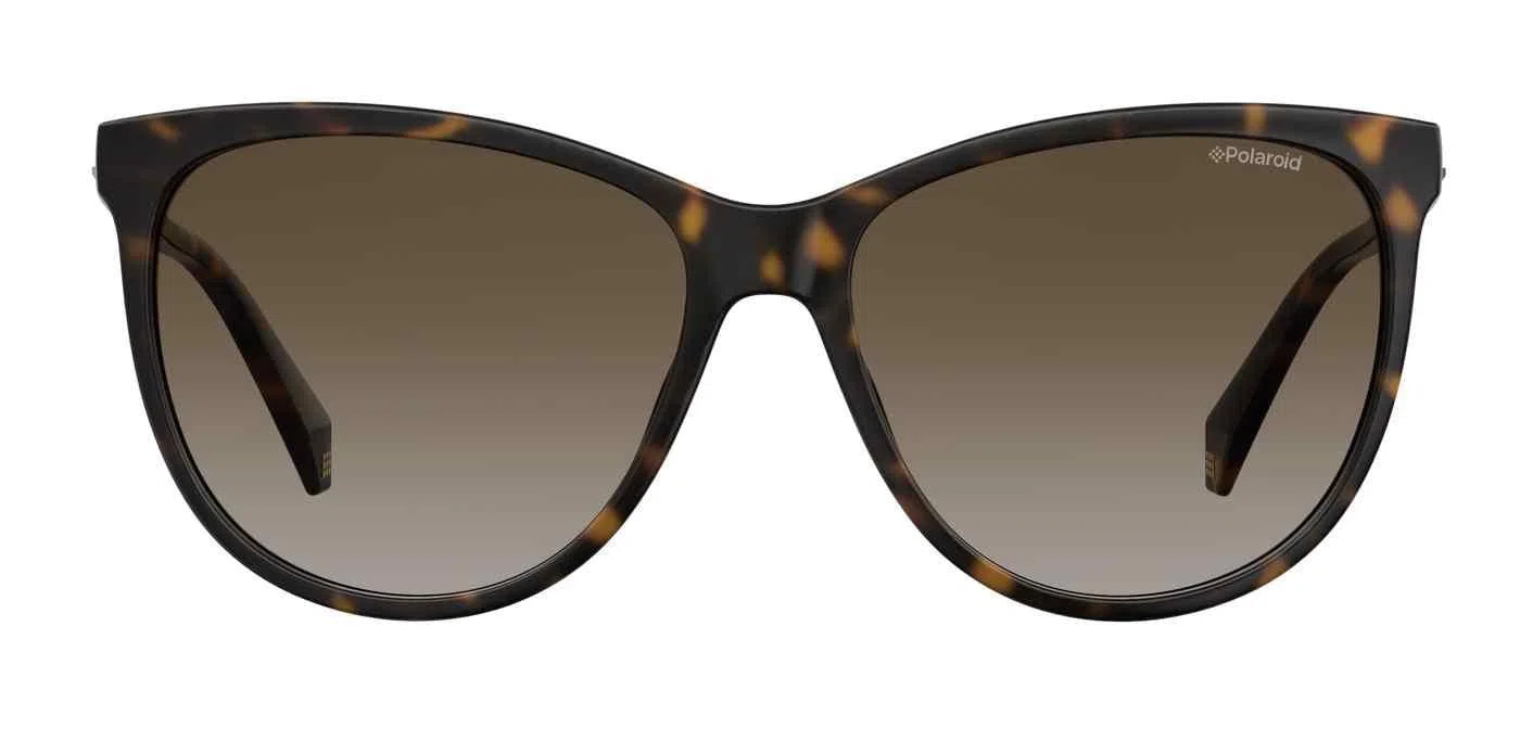 Polaroid Core Pld4066 Sunglasses - view 6